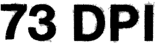 73 DPI logo